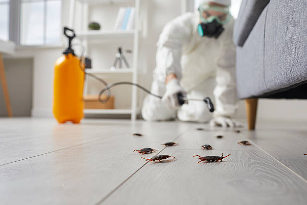 Commercial Kitchen Cockroach Control in Fowlerville